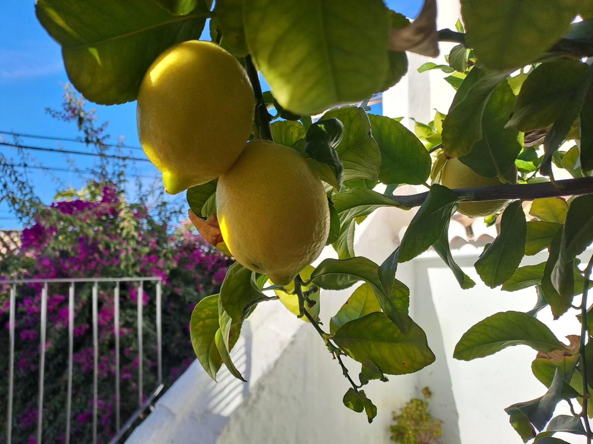 格拉纳达Casa Alhambra - Centro Historico Con Jardin Privado公寓 外观 照片