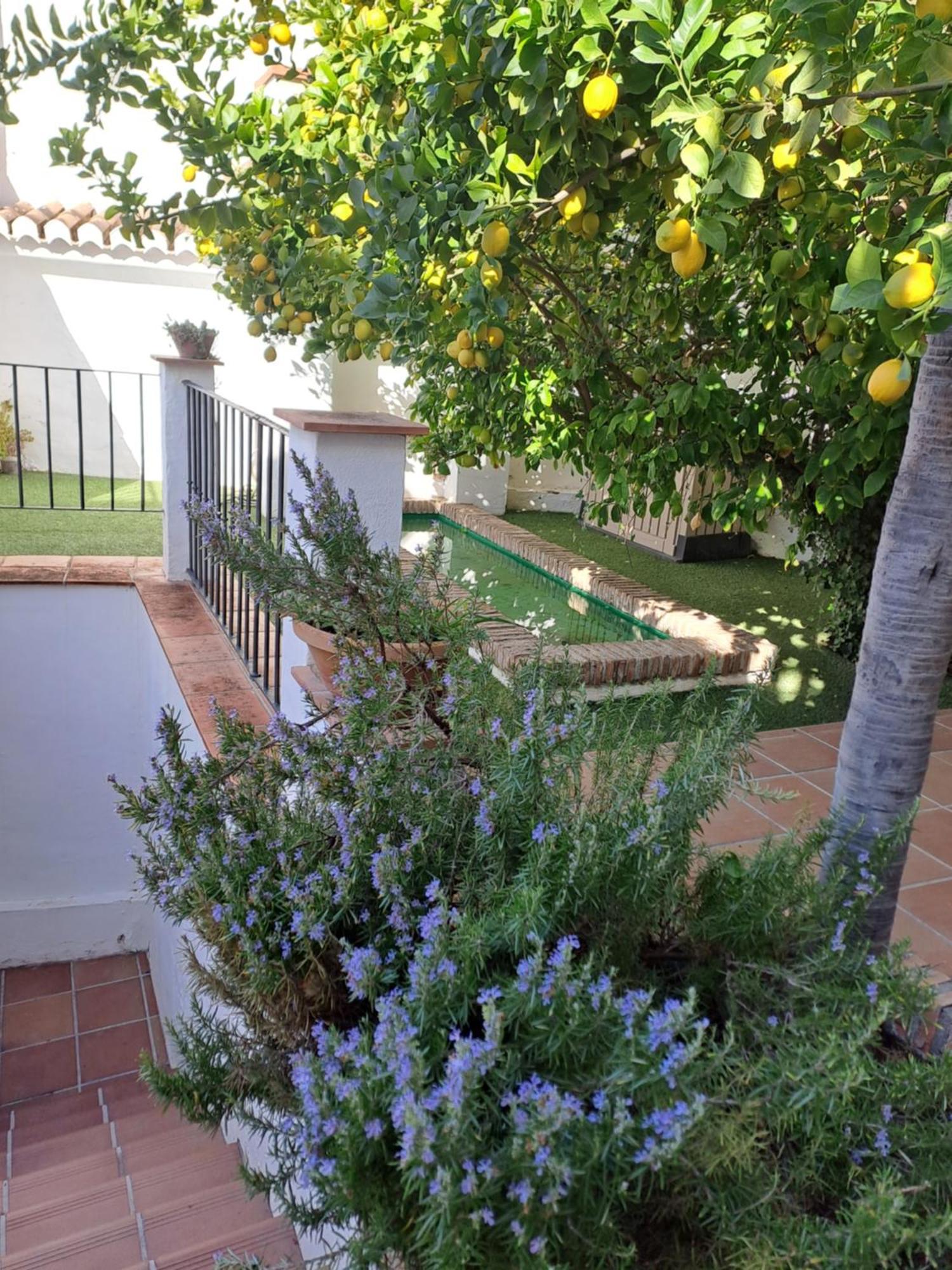 格拉纳达Casa Alhambra - Centro Historico Con Jardin Privado公寓 外观 照片